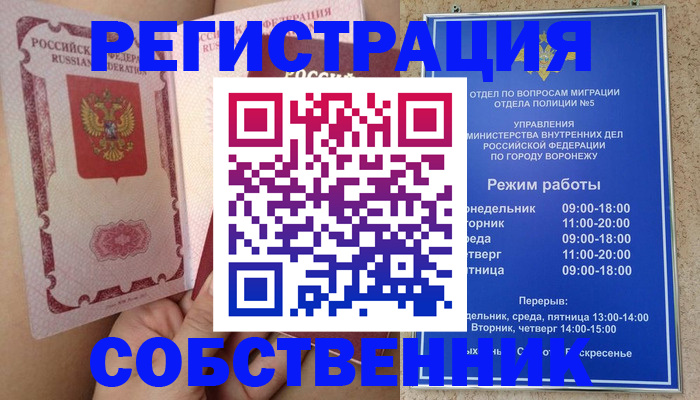 прописка законно в Заринске
